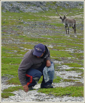 A Labrador Inuit student assistant collects artifacts at an archaeological site in Northern Labrador