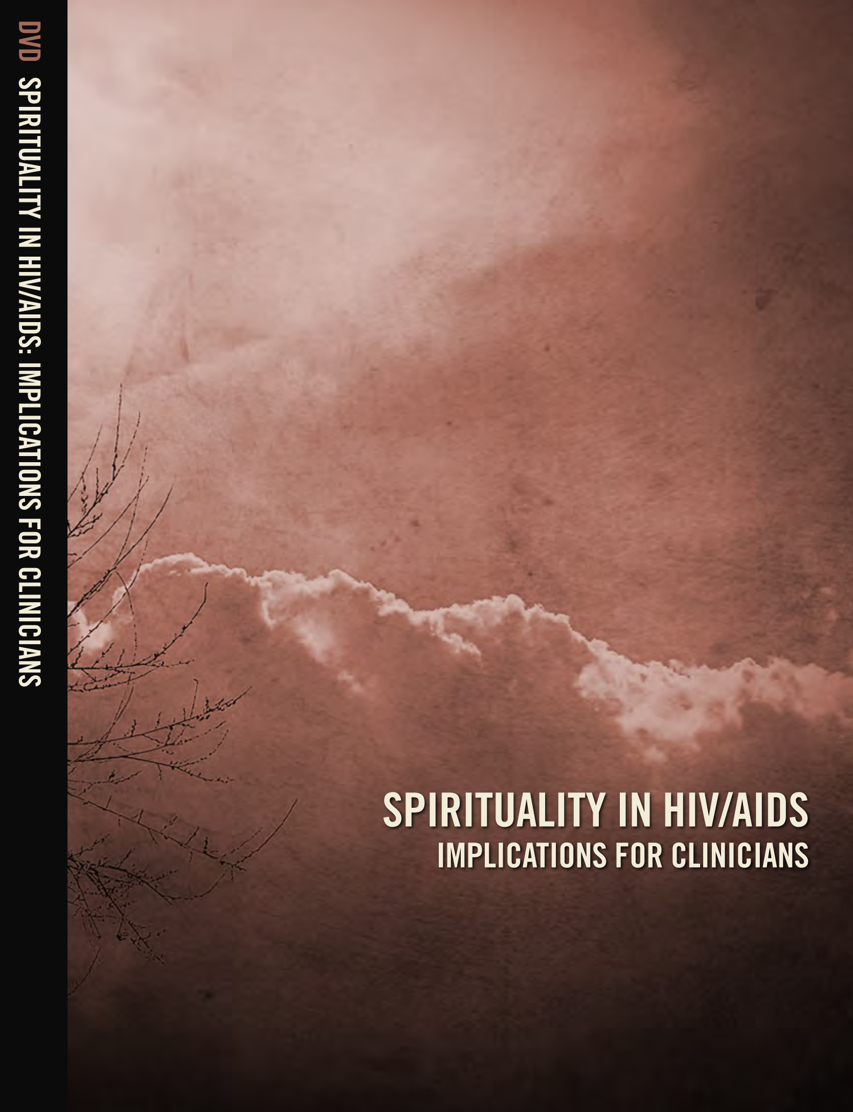 Spirituality in HIV/AIDS