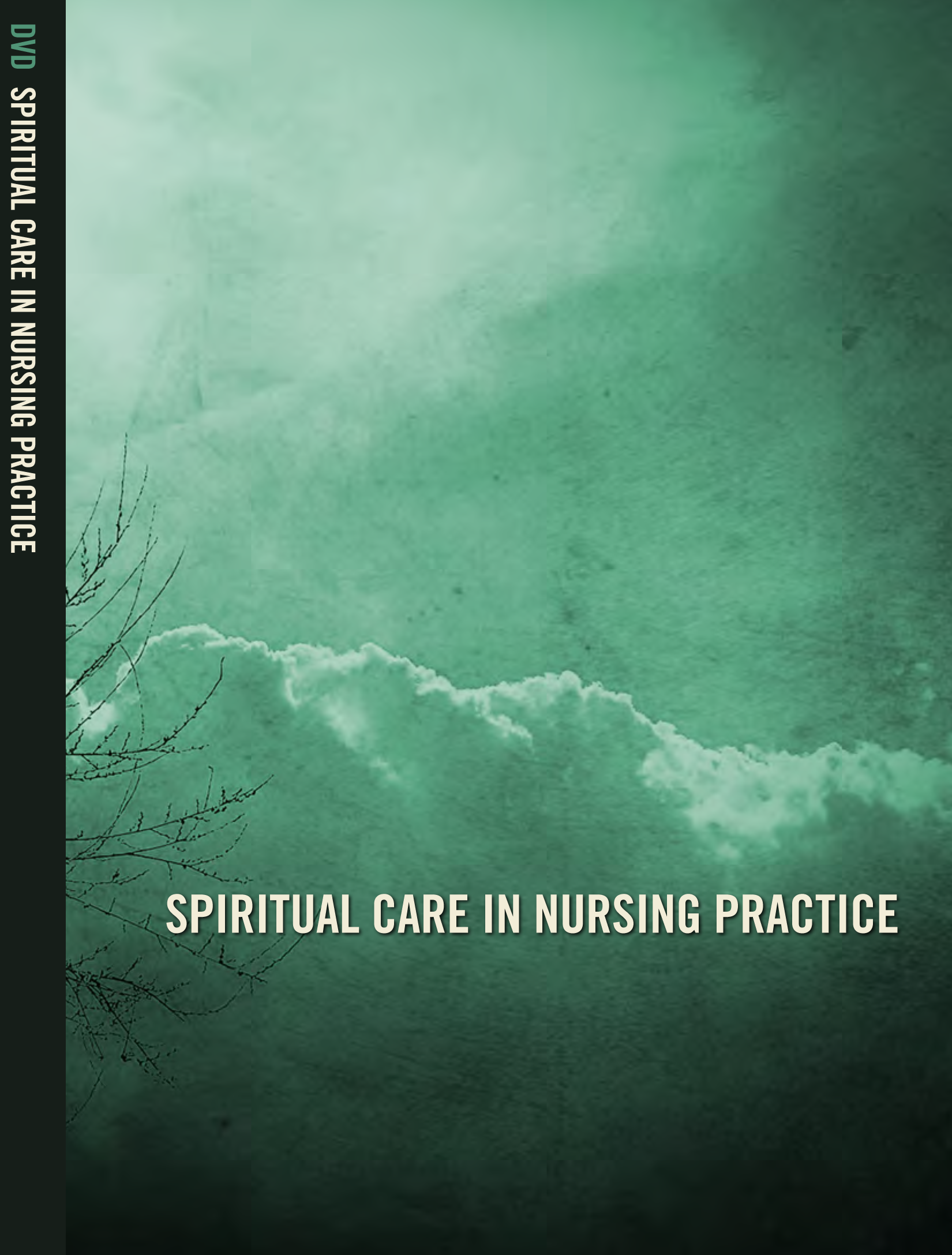 Spiritual Care In Nursing Practice