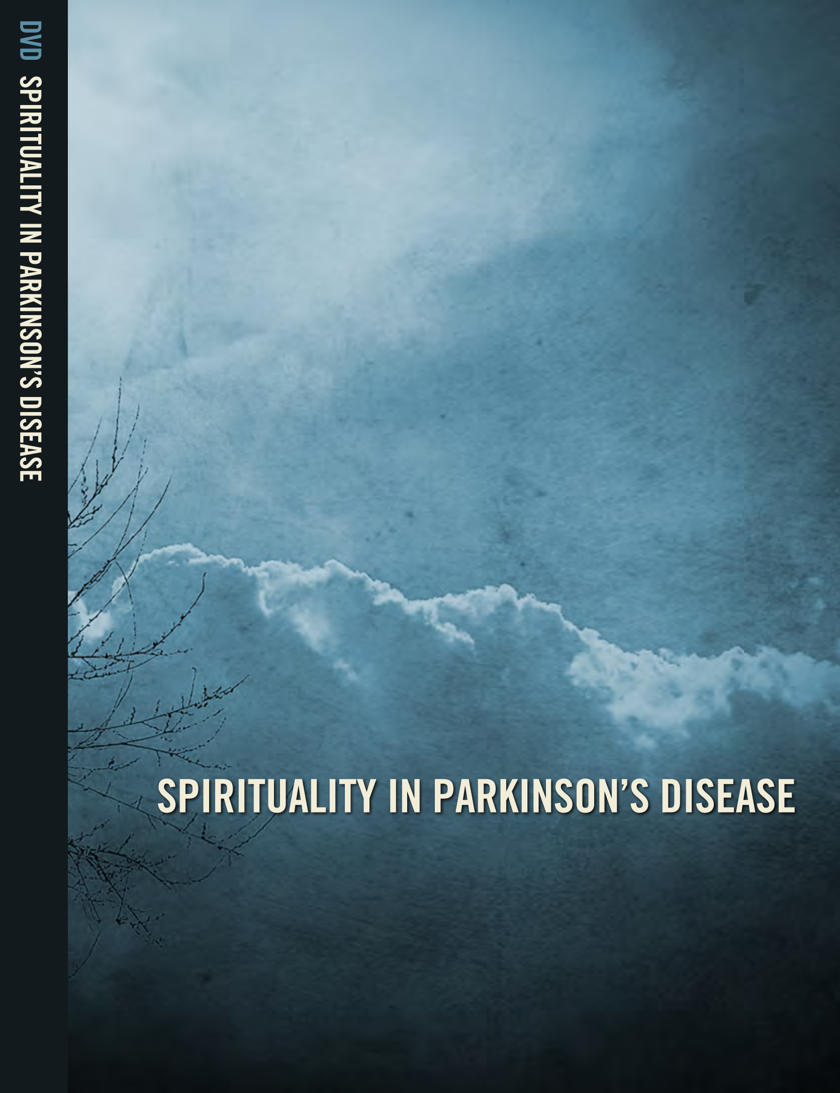 Spirituality in Parkinson's