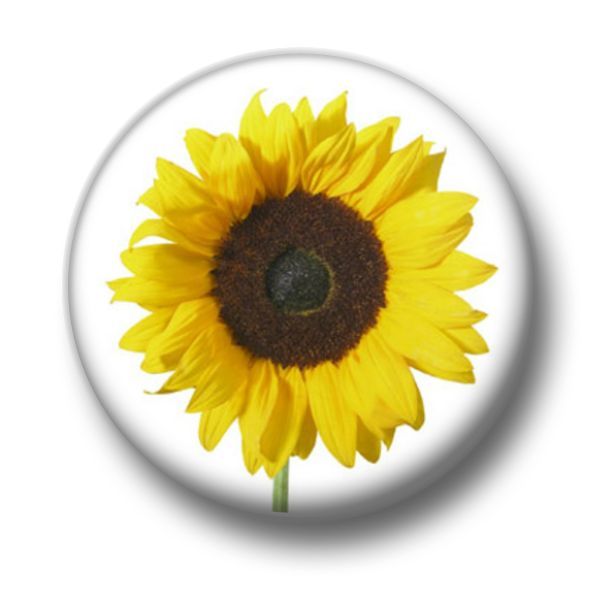 Sunflower spiritualism icon