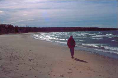 A field assistant searches for artifacts on the shore of Lake Huron, south of the Nodwell site